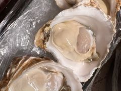 -冰之海挪威三文鱼(海珠店)