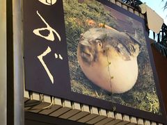 -玄品河豚(那覇國際通里之関)