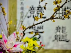 -颐和园