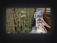 -IPSTAR·潮玩星球·主题店