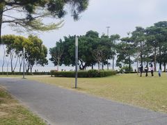-深圳湾公园(南山区)
