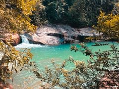 -广州白江湖森林公园