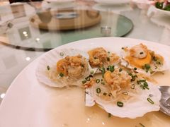 蒜茸蒸元贝-黄埔华苑酒家(黄埔总店)