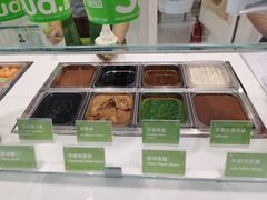 -Salud撒露欧洲冻酸奶(五道口购物中心店)