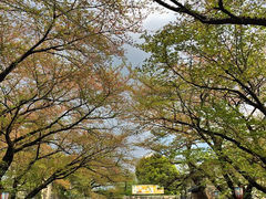 iphone_upload_pic-名古屋城