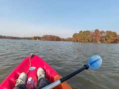 -上海海湾国家森林公园