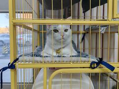 -青春加萌照相馆