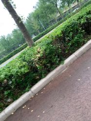 -HEYAN长风荷妍专业脱毛美肤
