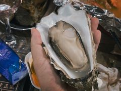 蒸汽生蚝-辉记炭烧海鲜大排档·老字号(福田店)