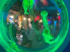 -太平洋海底世界