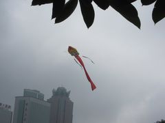 -万绿园