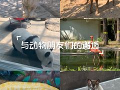 -石家庄市动物园