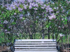 -永定河休闲森林公园
