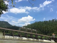 -将军陂美食山庄·瓦缸炭烧鸡