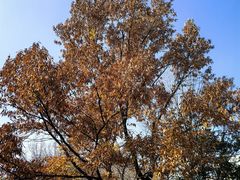 -白塘生态植物园