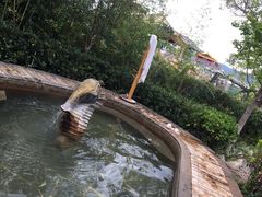 -大理地热国