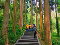 -青城山
