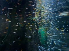 -合肥海洋世界