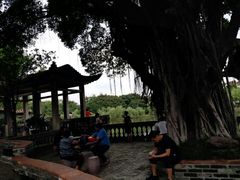 -东莞市可园博物馆