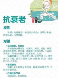-玛莲朵·海菲秀冰珀科