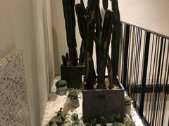 -大树餐厅(红旗街万达店)