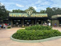 -奥兰多迪士尼动物王国乐园