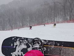 -丹东天桥沟景区