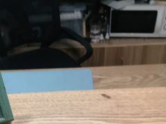 -翡翠森林宠物火化殡葬(通州店)