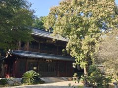 -团城山公园