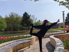 -长春公园(普阳街道)