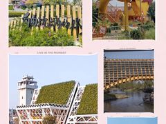 -江门古劳水乡旅游区