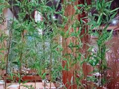 -功夫小龙虾·烧烤·江湖菜(金沙洲店)