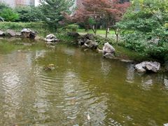 -太湖湾开元名庭大酒店