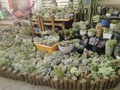 -杨厝六十六农庄农舍(杨厝路店)