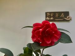 -道南書院·私房菜·早午茶·茶馆