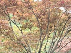 -杭州黄龙洞