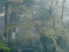 -莫干山风景区