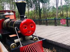 -合肥滨湖国家森林公园