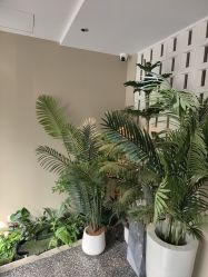 -左岸摄影写真(天津旗舰店)