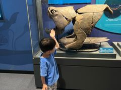 -国家自然博物馆