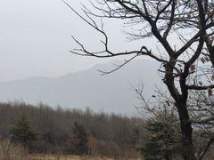 -云龙山