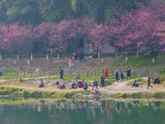-望江楼公园