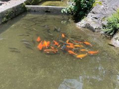 -途中饭店(开化店)