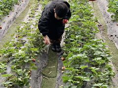-北马山庄植趣咖啡