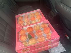 -南汇新场正宗水蜜桃采摘