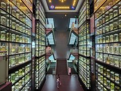 -广东中医药博物馆