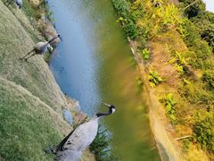 -泉州海丝野生动物世界