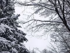 -鳌山滑雪度假区