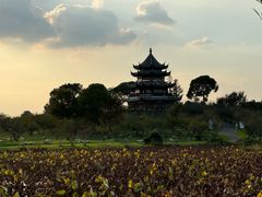 -上海海湾国家森林公园