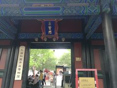 -北京国子监胡同